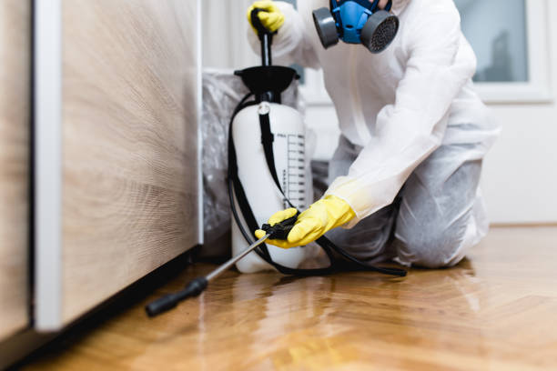 Best Exterminator Services  in Bedford Hills, NY