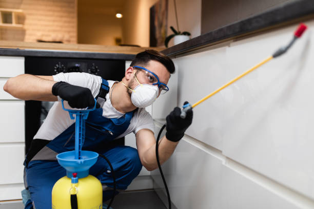 Best Pest Prevention Services  in Bedford Hills, NY
