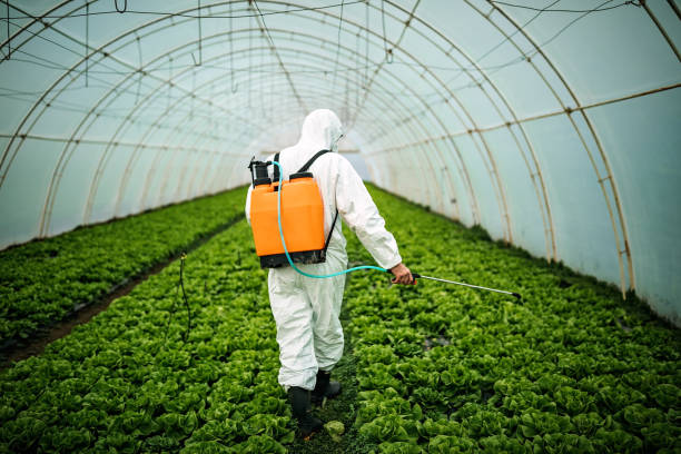 Best Best Pest Control Companies  in Bedford Hills, NY