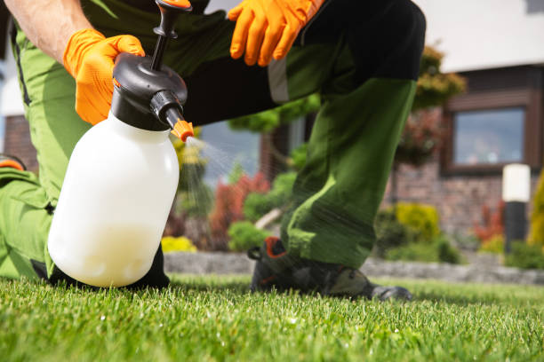 Best Termite Control Services  in Bedford Hills, NY