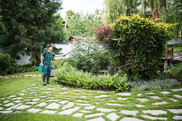 Best Wasp Removal Services  in Bedford Hills, NY