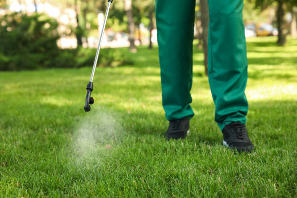 Best Best Pest Control Companies  in Bedford Hills, NY