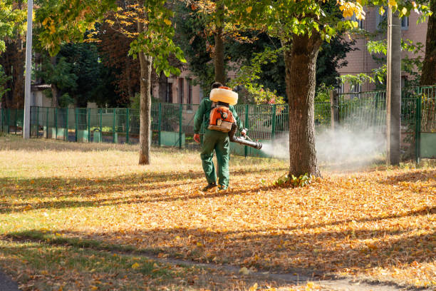 Best Commercial Pest Control Services  in Bedford Hills, NY