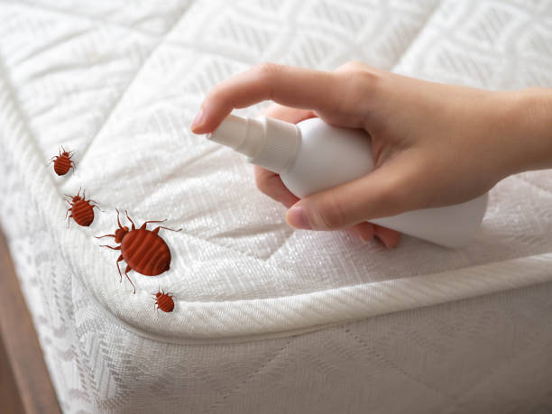 Best Pest Inspection Near Me  in Bedford Hills, NY