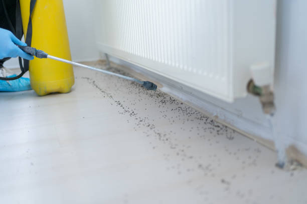 Best Best Pest Control Companies  in Bedford Hills, NY