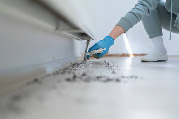 Best Commercial Pest Control Services  in Bedford Hills, NY
