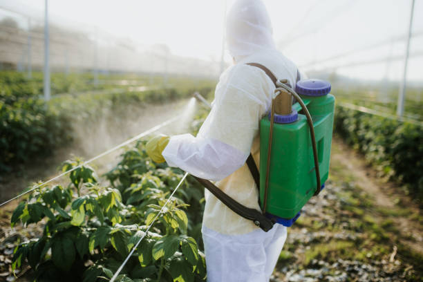 Best Ant Control Services  in Bedford Hills, NY